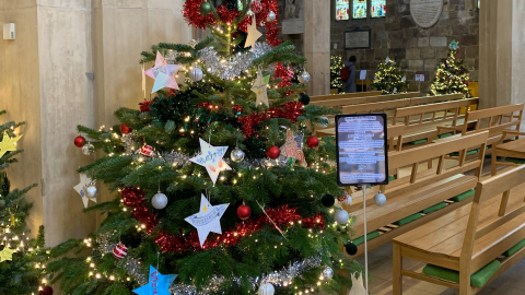 Stars reflecting hopes for 2026